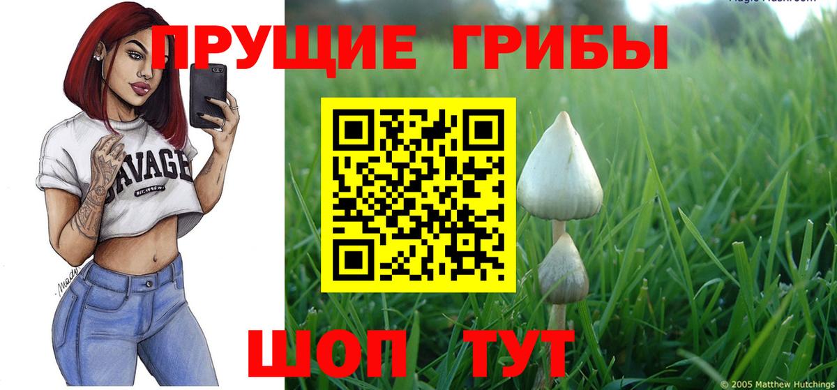 Галлюциногенные грибы Psilocybine cubensis  Вход с VPN  Похвистнево 
